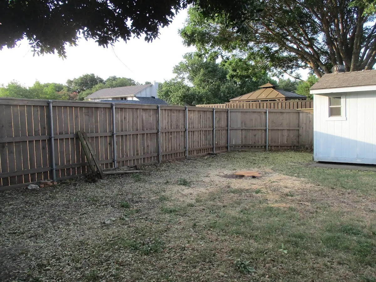 Cleared yard after professional tree removal in Auburn University
