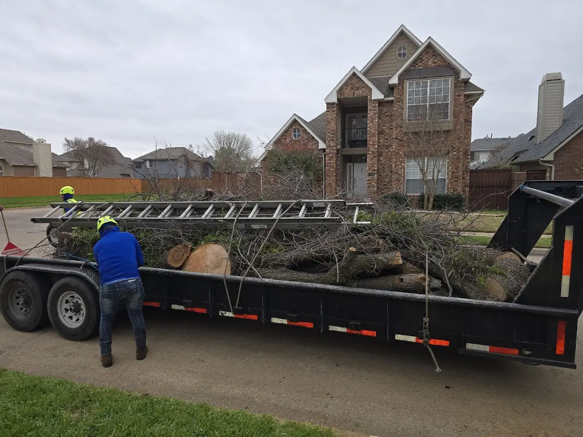 Expert Tree Fertilization with proper safety equipment in Auburn University